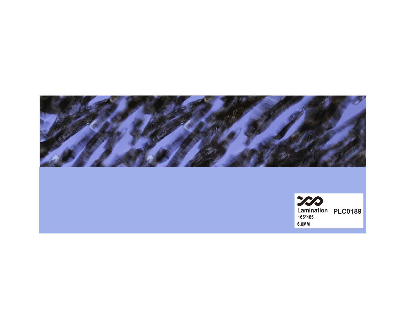 PLC0189